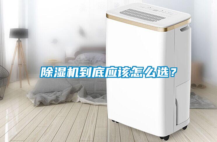 除濕機到底應該怎么選？