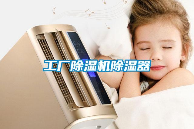 工廠(chǎng)除濕機(jī)除濕器
