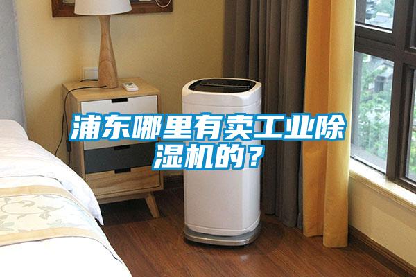 浦東哪里有賣工業(yè)除濕機的？