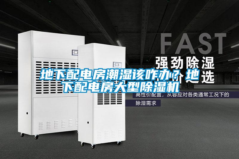 地下配電房潮濕該咋辦？地下配電房大型除濕機(jī)