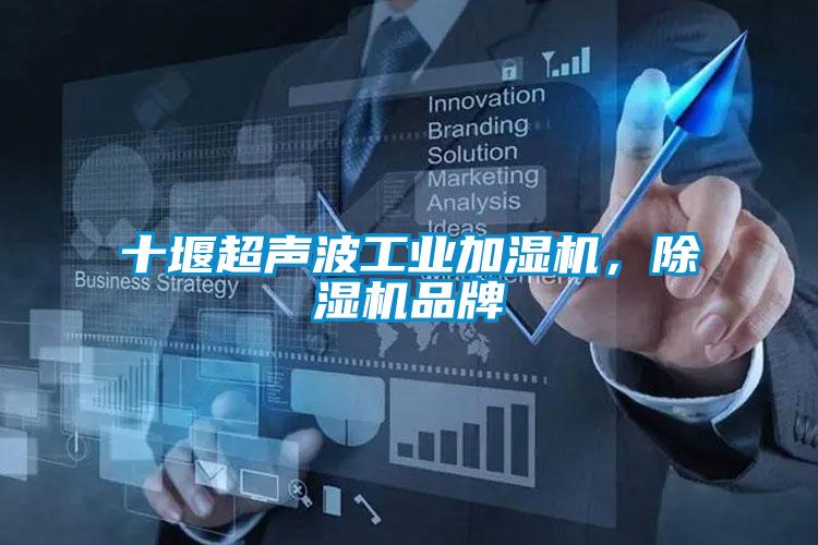 十堰超聲波工業(yè)加濕機(jī)，除濕機(jī)品牌