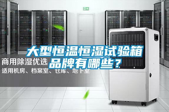 大型恒溫恒濕試驗箱品牌有哪些？