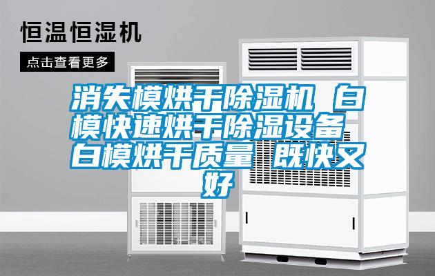消失模烘干除濕機(jī) 白?？焖俸娓沙凉裨O(shè)備 白模烘干質(zhì)量 既快又好
