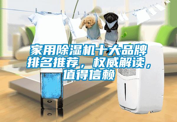 家用除濕機(jī)十大品牌排名推薦，權(quán)威解讀，值得信賴