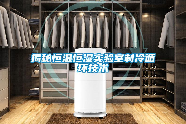 揭秘恒溫恒濕實驗室制冷循環(huán)技術