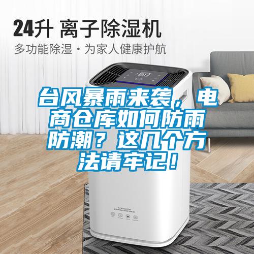 臺風暴雨來襲，電商倉庫如何防雨防潮？這幾個方法請牢記！