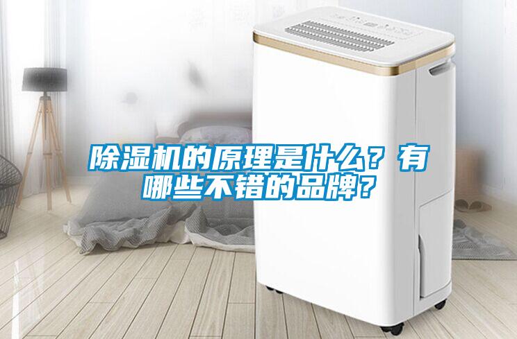 除濕機(jī)的原理是什么？有哪些不錯的品牌？