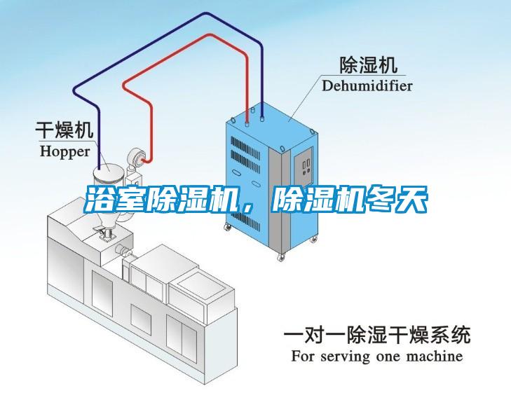 浴室除濕機(jī)，除濕機(jī)冬天