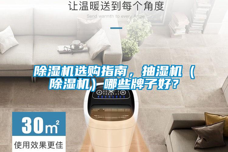 除濕機(jī)選購(gòu)指南，抽濕機(jī)（除濕機(jī)）哪些牌子好？