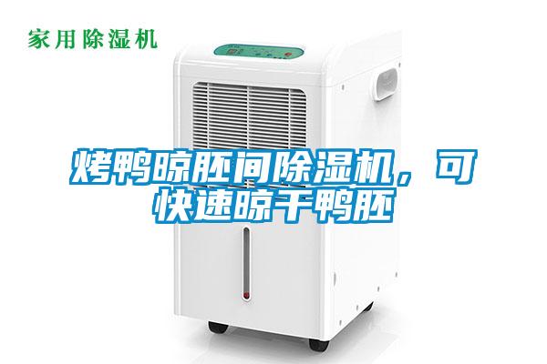 烤鴨晾胚間除濕機(jī)，可快速晾干鴨胚