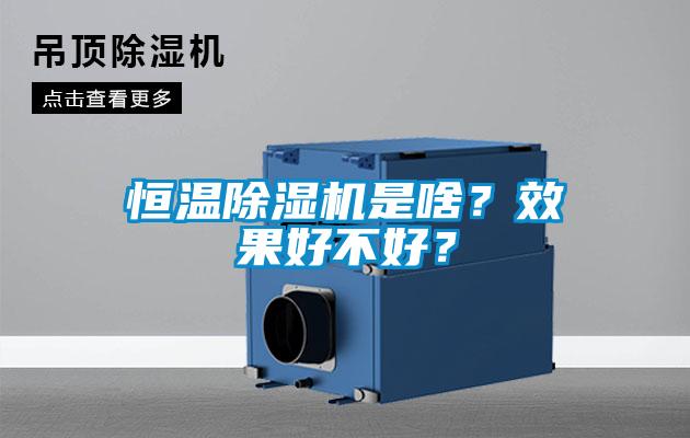 恒溫除濕機(jī)是啥？效果好不好？