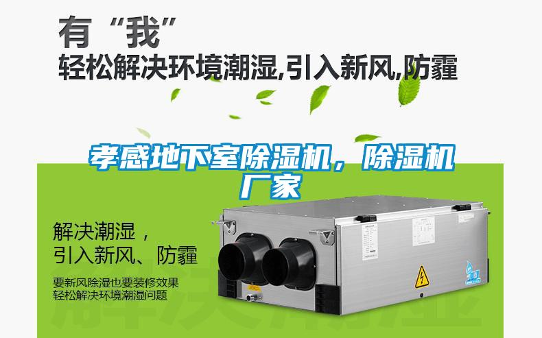 孝感地下室除濕機(jī)，除濕機(jī)廠家