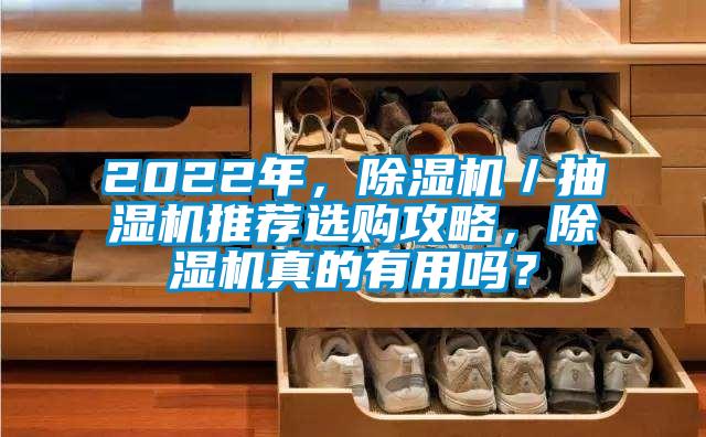 2022年，除濕機／抽濕機推薦選購攻略，除濕機真的有用嗎？