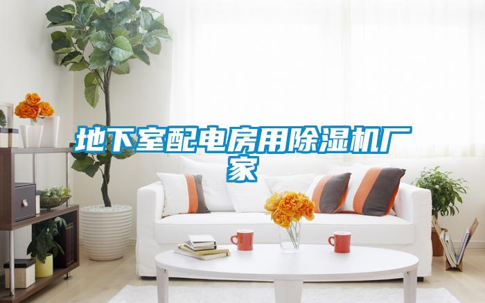 地下室配電房用除濕機(jī)廠(chǎng)家
