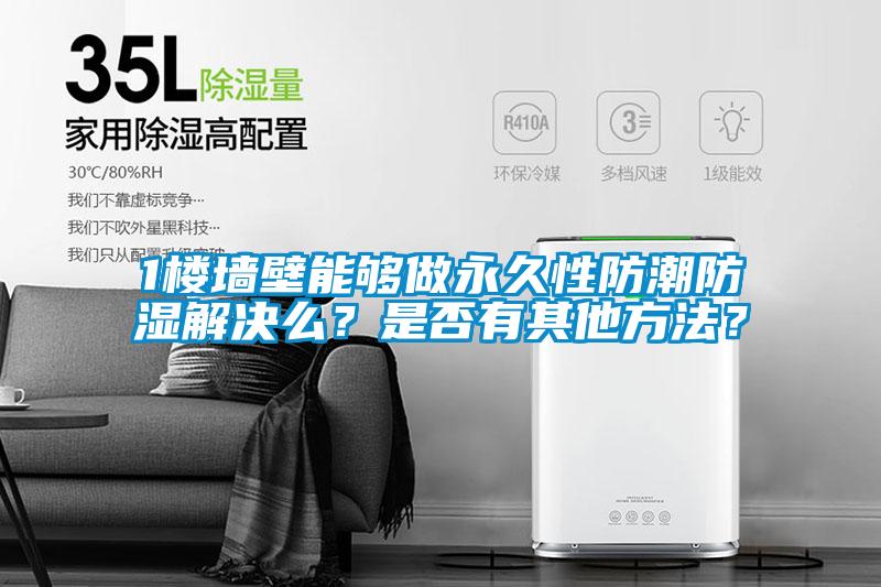 1樓墻壁能夠做永久性防潮防濕解決么？是否有其他方法？