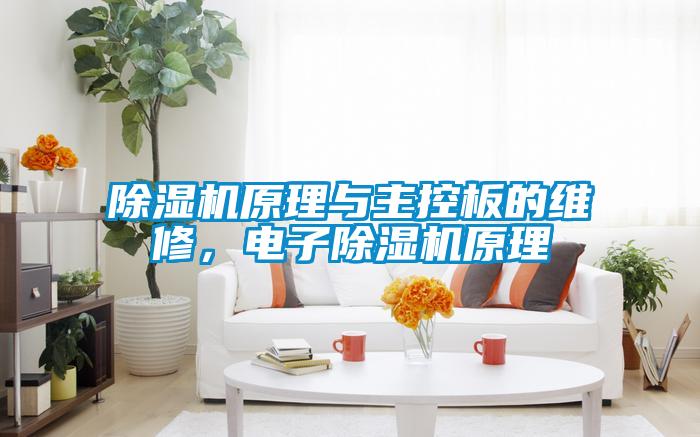 除濕機(jī)原理與主控板的維修，電子除濕機(jī)原理