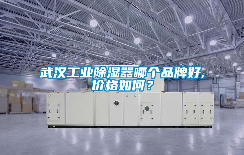 武漢工業(yè)除濕器哪個品牌好,價格如何？