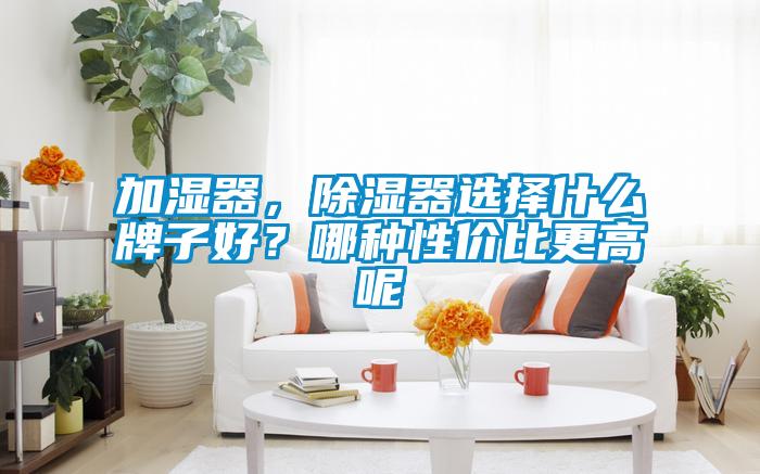 加濕器，除濕器選擇什么牌子好？哪種性價(jià)比更高呢