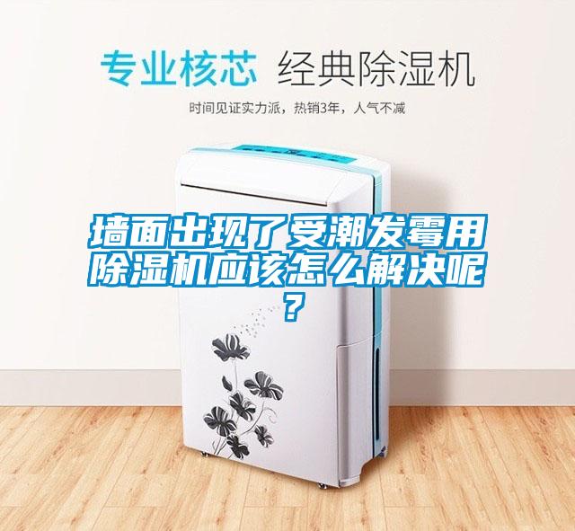 墻面出現(xiàn)了受潮發(fā)霉用除濕機(jī)應(yīng)該怎么解決呢？