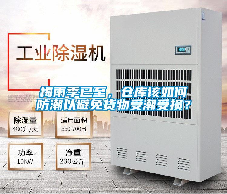 梅雨季已至，倉(cāng)庫(kù)該如何防潮以避免貨物受潮受損？