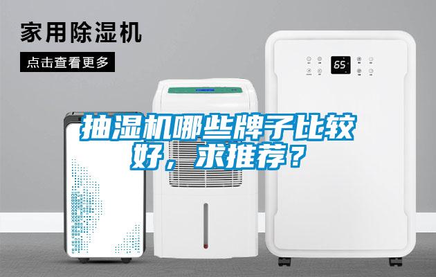 抽濕機哪些牌子比較好，求推薦？