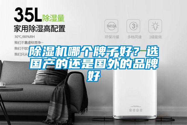 除濕機哪個牌子好？選國產的還是國外的品牌好