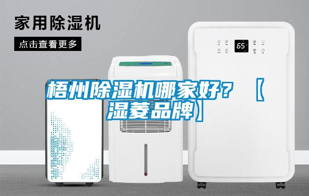 梧州除濕機哪家好？【濕菱品牌】