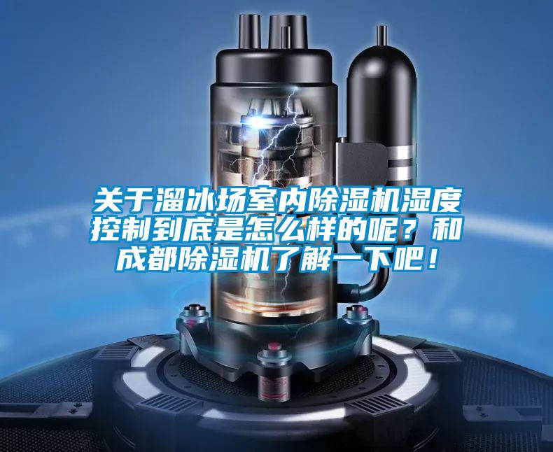 關于溜冰場室內(nèi)除濕機濕度控制到底是怎么樣的呢？和成都除濕機了解一下吧！