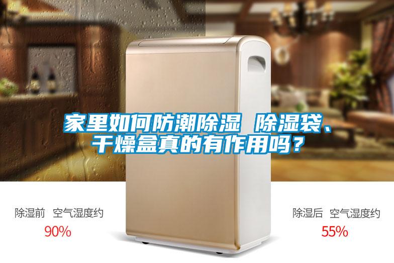 家里如何防潮除濕 除濕袋、干燥盒真的有作用嗎？
