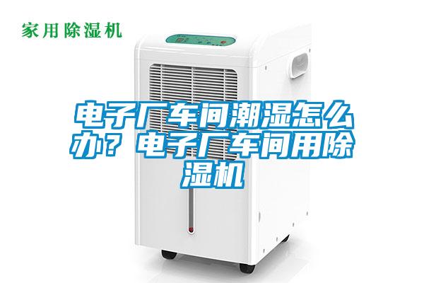 電子廠車間潮濕怎么辦？電子廠車間用除濕機(jī)