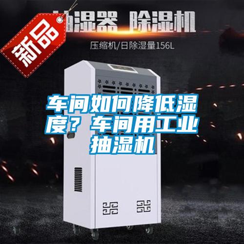 車間如何降低濕度？車間用工業(yè)抽濕機(jī)