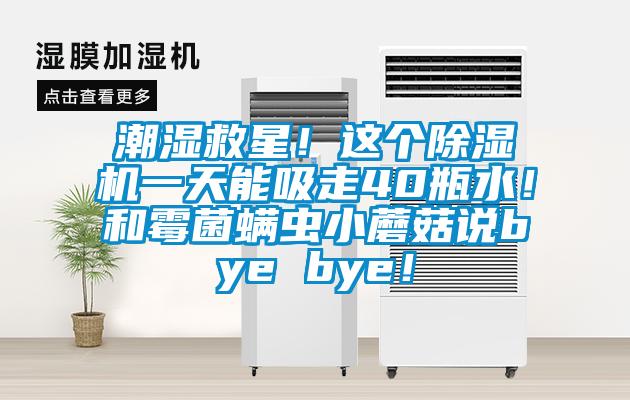 潮濕救星！這個除濕機一天能吸走40瓶水！和霉菌螨蟲小蘑菇說bye bye！