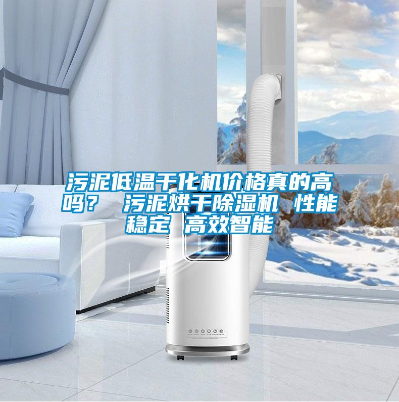 污泥低溫干化機(jī)價(jià)格真的高嗎？ 污泥烘干除濕機(jī) 性能穩(wěn)定 高效智能