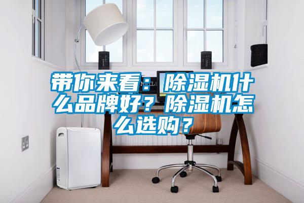 帶你來看：除濕機什么品牌好？除濕機怎么選購？