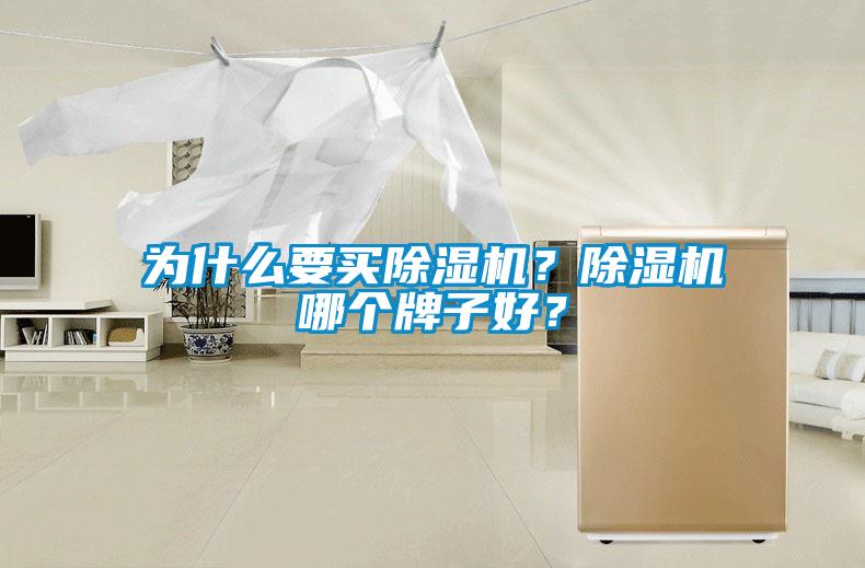 為什么要買(mǎi)除濕機(jī)？除濕機(jī)哪個(gè)牌子好？