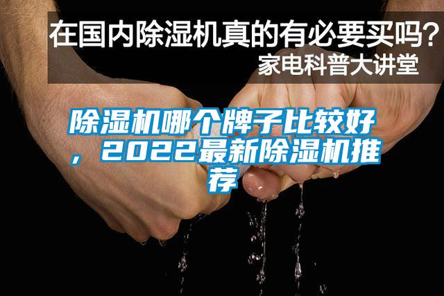 除濕機哪個牌子比較好，2022最新除濕機推薦