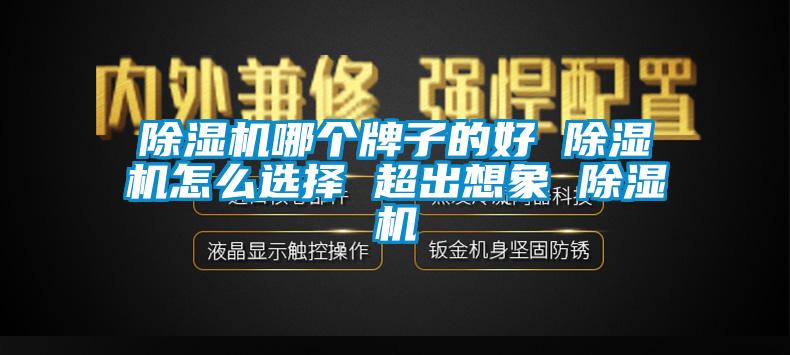 除濕機(jī)哪個牌子的好 除濕機(jī)怎么選擇 超出想象 除濕機(jī)