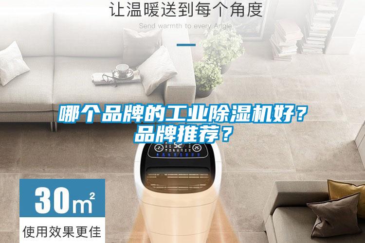 哪個品牌的工業(yè)除濕機好？品牌推薦？