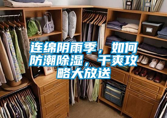 連綿陰雨季，如何防潮除濕，干爽攻略大放送