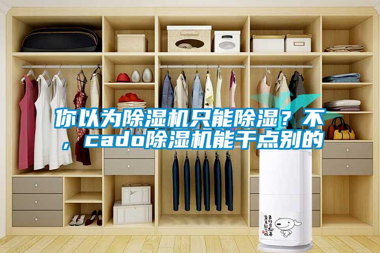 你以為除濕機只能除濕？不，cado除濕機能干點別的