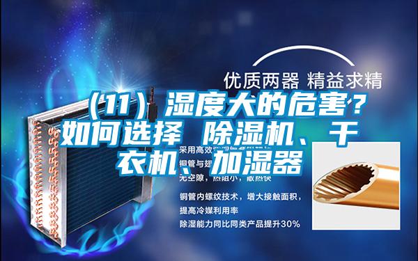 （11）濕度大的危害？如何選擇 除濕機(jī)、干衣機(jī)、加濕器