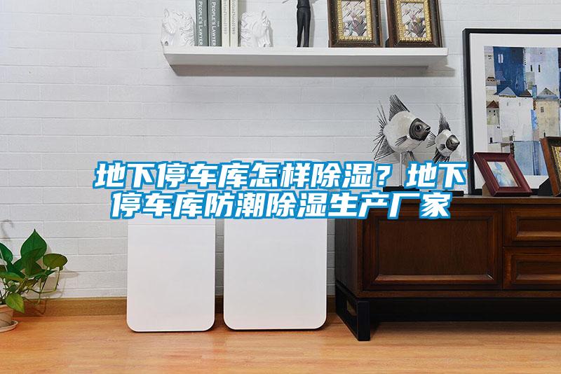 地下停車庫怎樣除濕？地下停車庫防潮除濕生產(chǎn)廠家