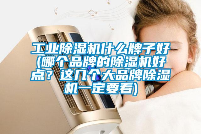 工業(yè)除濕機(jī)什么牌子好(哪個(gè)品牌的除濕機(jī)好點(diǎn)？這幾個(gè)大品牌除濕機(jī)一定要看)