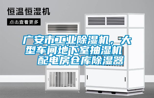 廣安市工業(yè)除濕機，大型車間地下室抽濕機  配電房倉庫除濕器