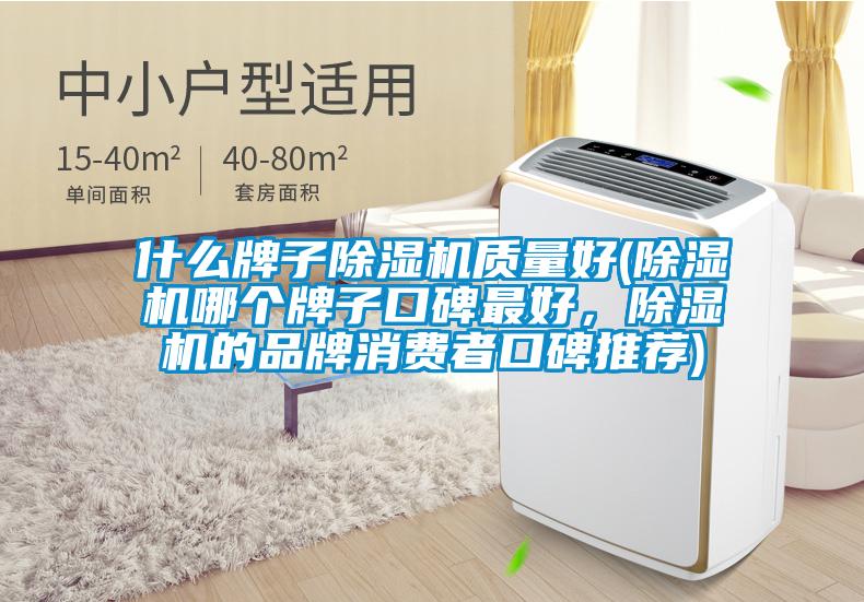什么牌子除濕機(jī)質(zhì)量好(除濕機(jī)哪個(gè)牌子口碑最好，除濕機(jī)的品牌消費(fèi)者口碑推薦)