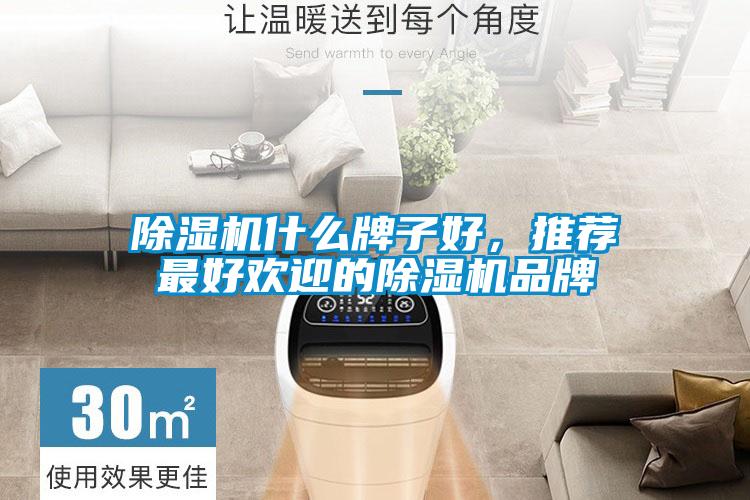 除濕機什么牌子好，推薦最好歡迎的除濕機品牌