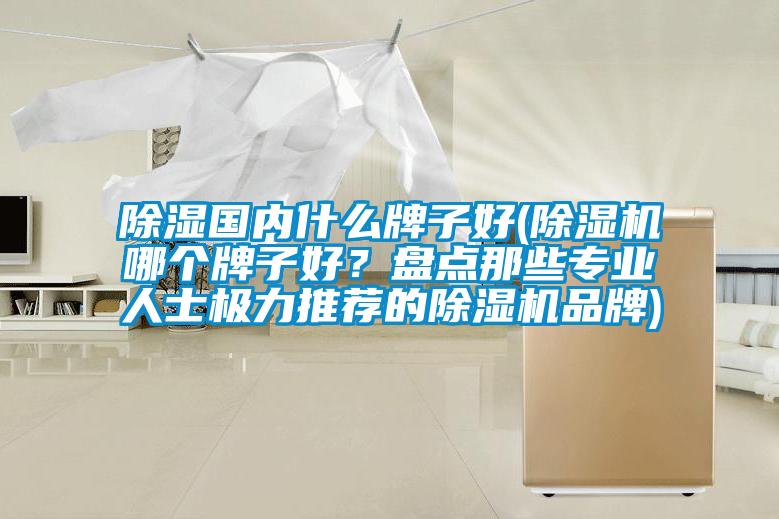除濕國內什么牌子好(除濕機哪個牌子好？盤點那些專業(yè)人士極力推薦的除濕機品牌)
