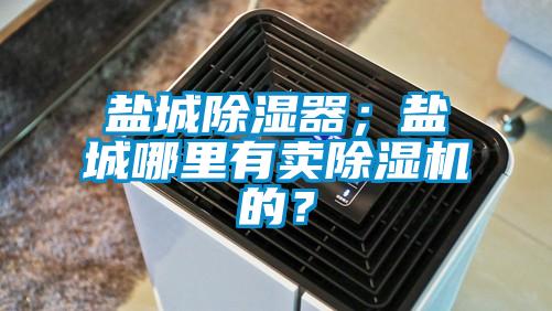 鹽城除濕器；鹽城哪里有賣除濕機(jī)的？