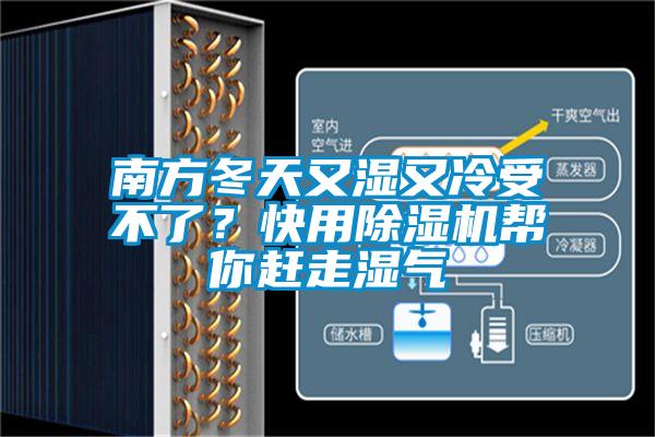 南方冬天又濕又冷受不了？快用除濕機(jī)幫你趕走濕氣
