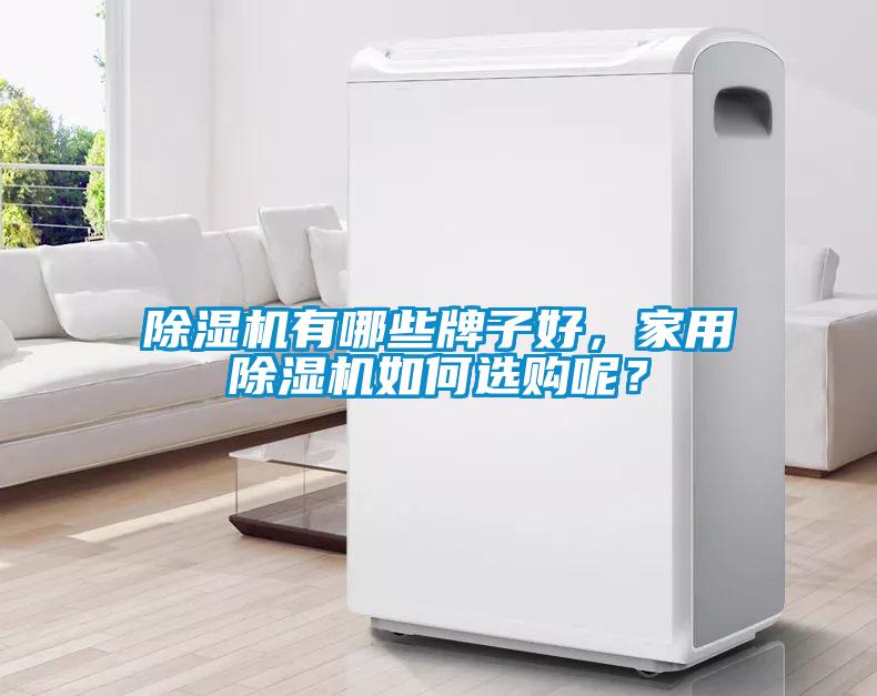 除濕機(jī)有哪些牌子好，家用除濕機(jī)如何選購呢？